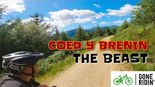 Coed y Brenin BEAST TRAIL