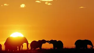 3 HOURS Best Relaxing Music _ Africa _ Shaman _ Background, Relax, Sleep, Study,