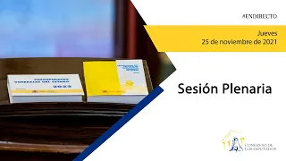 Sesión Plenaria (25/11/2021)