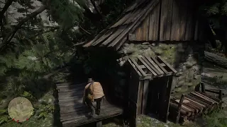 RDR2 - House destroyed by a tree. There is a secret.