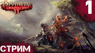 Divinity: Original Sin 2 - Первый взгляд на игру