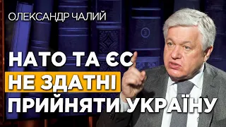Олександр Чалий та Геннадій Друзенко на "Конституційній кухні"