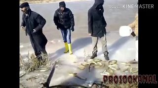 Best fails of БАЯНы #18 на рыбалке