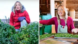 Don't forget this winter crop! From field to freeze-dryer to cottage pantry.