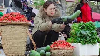 Harvesting Red Peppers, Mustard Vegetables, Celery Go to the Market to Sell - Green Life