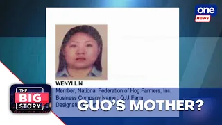 The Big Story | Is Wenyi Lin the mother of Mayor Guo?