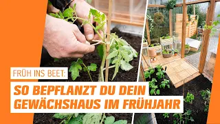 Gewächshaus bepflanzen I OBI I Früh ins Beet – Folge 3