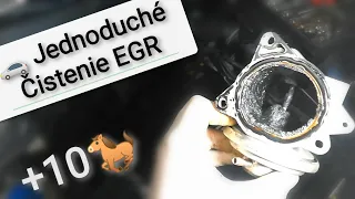 🚗 Jednodché Čistenie EGR Znižovanie emisií časť 1.