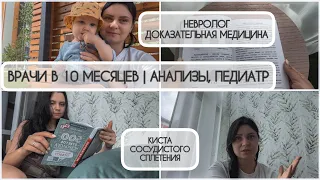 МАТЕРИНСКИЕ БУДНИ 🤱🏻 СХОДИЛИ К НЕВРОЛОГУ ДОКАЗАТЕЛЬНОЙ МЕДИЦИНЫ | КИСТА СОСУДИСТОГО СПЛЕТЕНИЯ