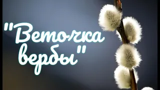 Кошелевский СК   «Веточка вербы»