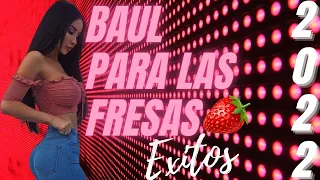 La mejor Salsa Baul 2022