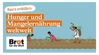 Kurz erklärt: Hunger und Mangelernährung weltweit