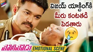 Vijay Best Emotional Scene | Policeodu Latest Telugu Movie | Samantha | Amy Jackson | Vijay's Theri