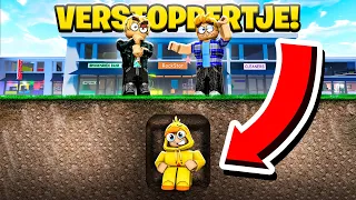 VERSTOPPERTJE In BROOKHAVEN Met KIJKERS! (Roblox)