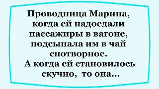 Когда проводнице становится скучно?!   Не большая подборка смешных анекдотов!