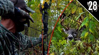 INDIANA PUBLIC LAND CHALLENGE! - Day 1: Big Buck at 20 Yards!