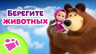 🎵 TaDaBoom 🐏🐶 Берегите животных 🐶🐏 Любимые песни из мультфильмов Маша и Медведь