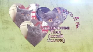 🎀Лакомства моей кошки🎀Вещи британской кошки🎀