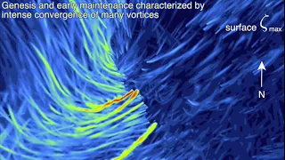 A 10-m resolution quarter trillion gridpoint tornadic supercell simulation