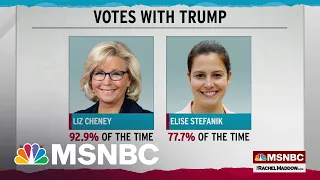 Liz Cheney More Aligned With Trump Than Her Potential Replacement