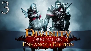 Let's Play ► Divinity: Original Sin Enhanced Edition Co-Op - Part 3 - Fabulous Five [Blind]