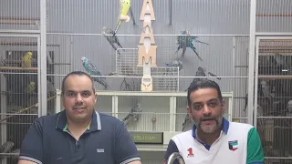A full day with Ali Bouresli top breeder from kuwait يوم مع البطل علي بورسلي البطل  من الكويت