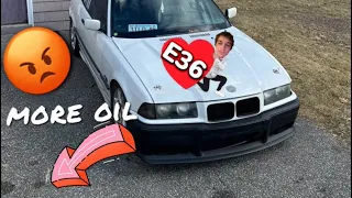 DAY IN THE LIFE OF AN E36 OWNER