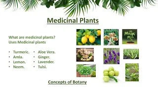 Medicinal Plants and their Uses| Herbal plants| Hindi/ Urdu| Concepts of Botany