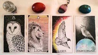 How you THINK they FEEL vs. How they actually FEEL 💎🌼💖 PICK A CARD Timeless Love Tarot Reading