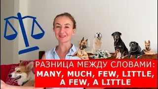 Разница между словами: many, much, few, little, a few, a little.  Английский для путешествий