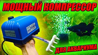 МОЩНЫЙ КОМПРЕССОР для аквариума! Он сбивает рыб с ног!