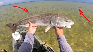 How To Find Fish On The Flats (Light Vs Dark Bottom)