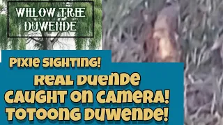 real elf duende sighting! no. 10 pixie gnome totoong duwende caught on camera! goblin! unedited!