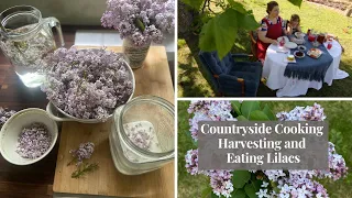 Countryside Cooking | Harvesting Lilacs