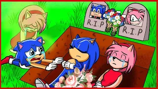 SONIC BABY IS SO SAD WITH AMY! ... Bye Amy Mama - Very Sad Story But Happy Ending | POOR SONIC LIFE