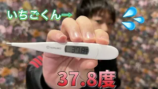 【発熱💦】「パパ診察して〜😢」長男いちごくん👦体調不良💦〜動画の後半にゆび先生からのお知らせがあります〜