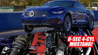 4-Cylinder Mustang Runs 8s! Ecoboost with Kelford Cams