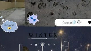 ВЛОГ/Выступление/Гулять/Снегопад💙🌨️🐾