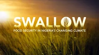 Swallow: Food Security in Nigeria's Changing Climate Official Trailer