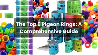 Rings for pigeons: The Top 6 Pigeon Rings: A Comprehensive Guide