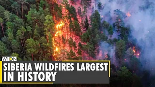 WION Climate Tracker: Wildfires across the world | Siberia battles heatwaves, wildfires and drought