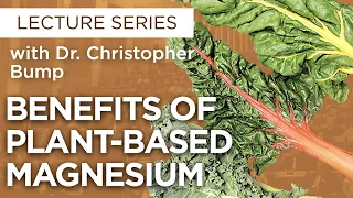 Magnificent Magnesium: The Benefits of Plant-based Magnesium