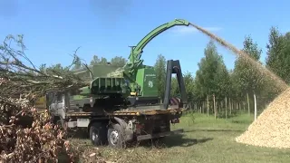 PTH 900 M Pezzolato drum wood chipper driven by IVECO C87 motor 350 Hp power