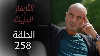 مسلسل الأزهار الحزينة | الحلقة 258  - الموسم الثاني