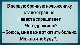 Как Жених Брачной Ночи Боялся! Сборник Свежих Анекдотов! Юмор!