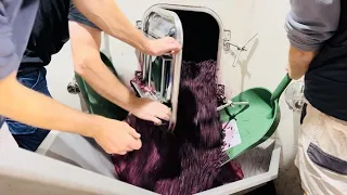 Grapes into wine: Making Pinot Noir