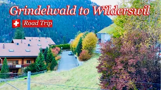 🇨🇭Grindelwald to Wilderswil ,  heavenly beautiful Road Trip In Switzerland | Swiss Village