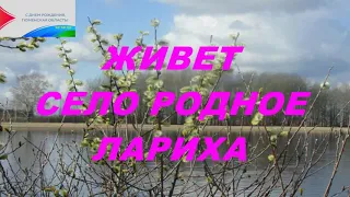 Ларихинский СДК. Видеопрезентация "Живет село родное Лариха.