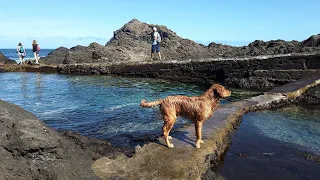 The Natural Pools Of Garachico - On A Busy Pre-Pandemic Winter Day - Tenerife