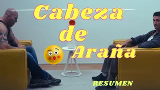 Cabeza de araña resumen